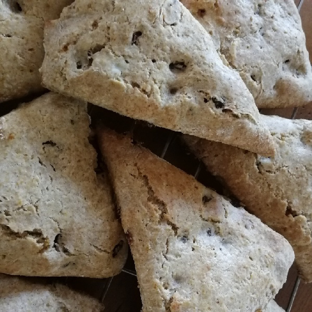 Misha's raisin scones