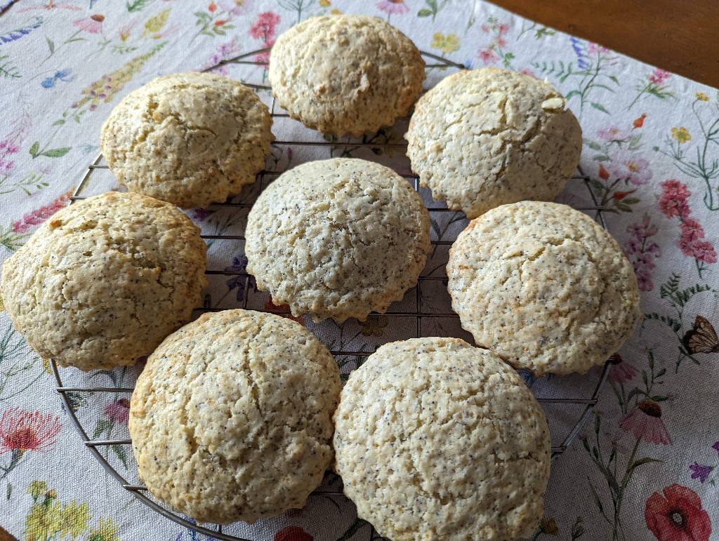Lemon Poppyseed muffins